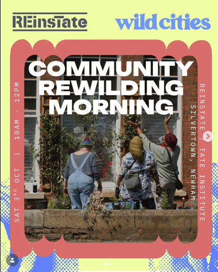 🌿 Community Rewilding Morning - Flyer