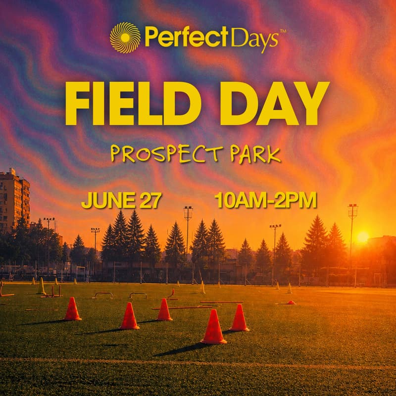 Field Day - Flyer