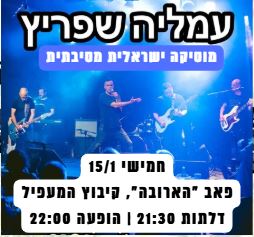עמליה שפריץ: מופע להקה - פלייר