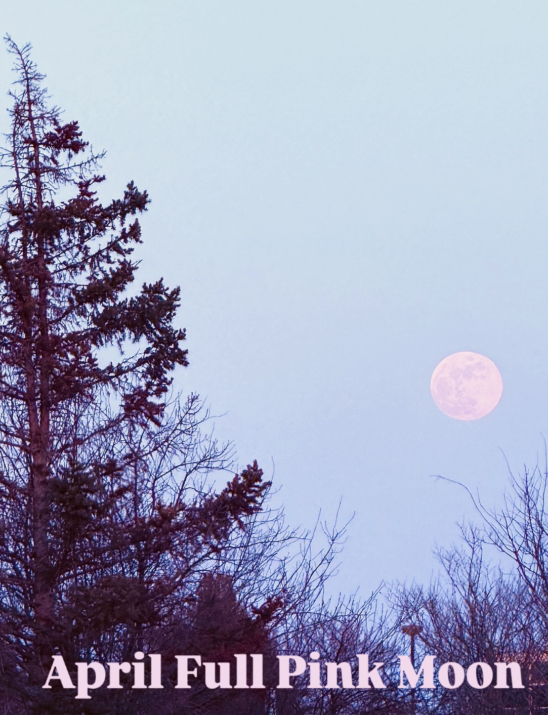APRIL FULL MOON Sound Bath - Flyer