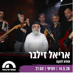 אריאל זילבר: מופע להקה - פלייר