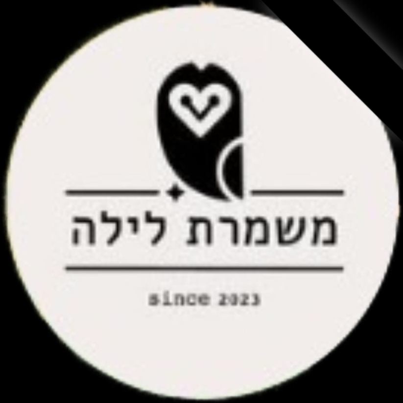אמיתי וילק: מופע להקה - פלייר
