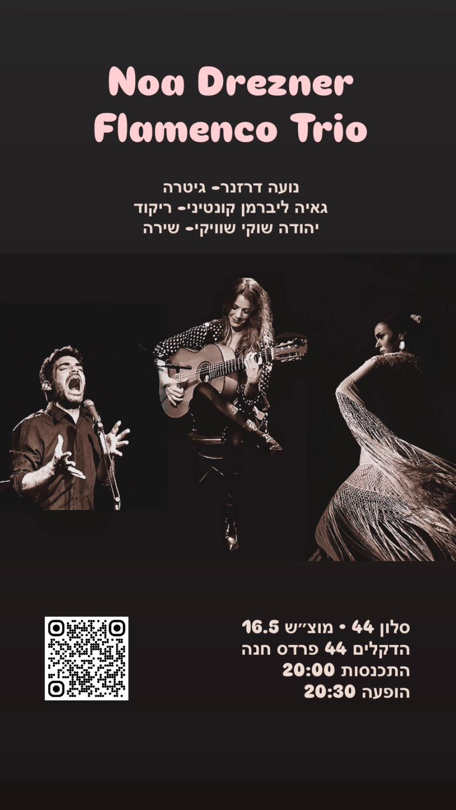 נועה דרזנר פלמנקו טריו - פלייר