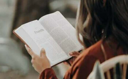 Delight: Scripture Reading - Flyer