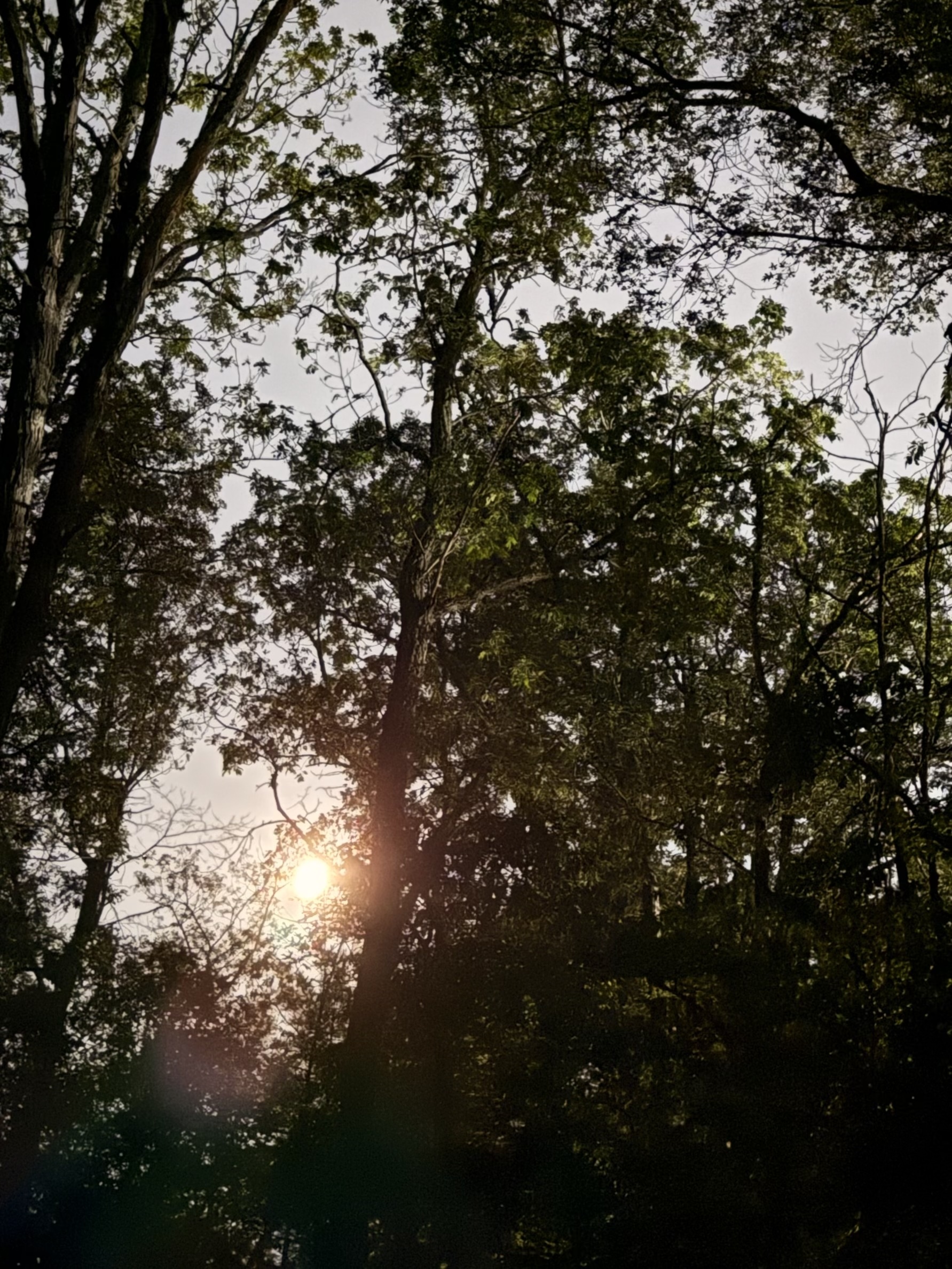 MAY FULL MOON Sound Bath - Flyer