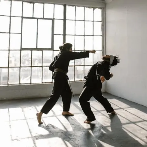 Community Karate Club