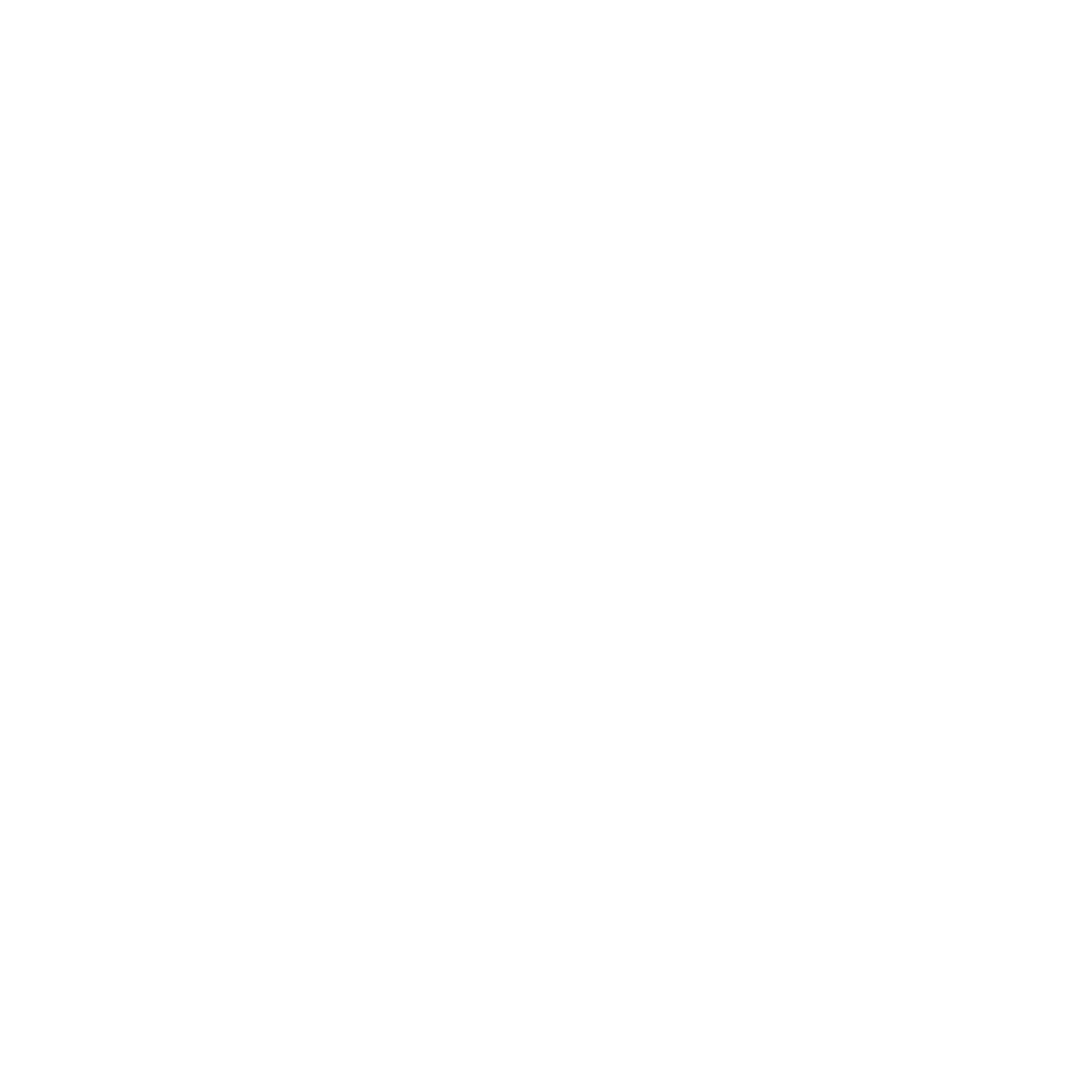 Negru Zi